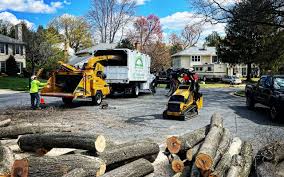 Seasonal Cleanup (Spring/Fall) in Woodside, PA