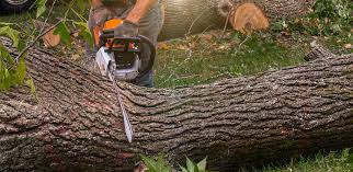 Lawn Irrigation Installation and Maintenance in Woodside, PA
