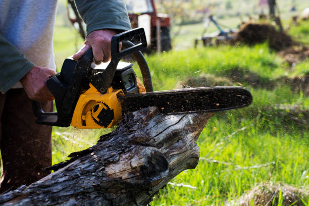 Best Soil Testing and Treatment  in Woodside, PA